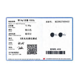 Agate Stud Earrings 925 Silver Platinum Plated Hypoallergenic