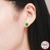 925 Silver Watermelon Fruits Stud Earrings Sterling Silver Jewelry