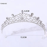 Silver Alloy Tiara Crown for Bride Rhinestone Headpiece
