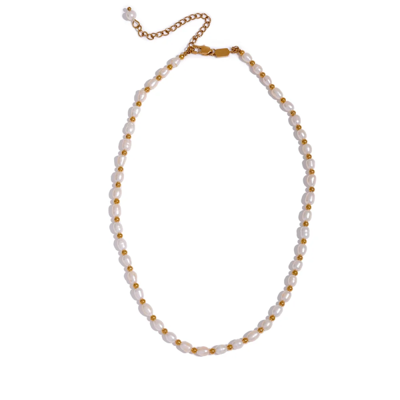 Freshwater Pearls Stainless Steel Beads Necklace Women Jewelry