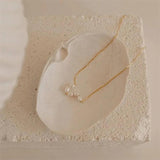 Freshwater Pearls Pendant Choker Necklace 316L Stainless Steel Charms