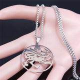 Stainless Steel Dragon Necklace Pendant Silver Symbol Of Dracula Chain Jewelry