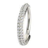 ASTM F136 Titanium Double Row Zircon Ring Nose Rings