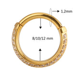 ASTM F136 Titanium Double Row Zircon Ring Nose Rings