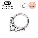 8/10mm Zircon Nose Ring CZ Hinged G23 Titanium Septum Jewelry