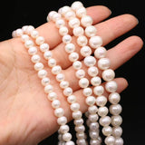 Natural Freshwater Pearl Beads for Jewelry Making