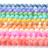 Natural Shell Beads Round Pearl Spacer Beads for Jewelry Making 4/6/8mm
