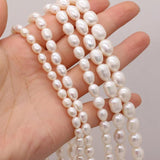 Freshwater Pink Pearl Beads 5-10mm DIY Jewelry Making 36CM