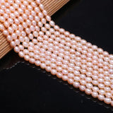 Freshwater Pearl Orange Pink Rice Bead 4-5mm DIY Jewelry Making