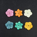 21mm Mother of Pearl Shell Loose Beads Natural Shell Flower Shape Beads