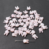 Rabbit Shell Charm Bead 8x10mm Mother Of Pearl Shell Pendant DIY Jewelry Making