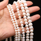 Pink Purple Round Pearl Beads 5/6/7/8/9/10mm