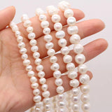 Pink Purple Round Pearl Beads 5/6/7/8/9/10mm