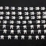 3pcs Rabbit Mother of Pearl Shell Beads DIY Jewelry Necklace Bracelet