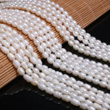 Freshwater Pearl Rice Beads DIY Jewelry Accessory