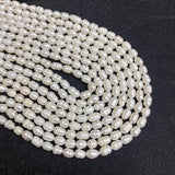 4mm Small Natural Freshwater Pearl Bead Rice Shape Loose Beads