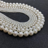 2-6mm Freshwater Pearl Beads Natural Shell Loose Bead for Jewelry Making
