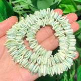 10mm Mother of Pearl Shell Chips for DIY Jewelry Making