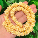 10mm Mother of Pearl Shell Chips for DIY Jewelry Making