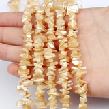Natural Shell Beads Accessories Diy Jewelry Findings Necklace Bracelet Craft
