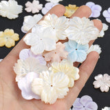 23mm Mother of Pearl Shell Loose Beads Natural Shell with Hole for DIY Necklace