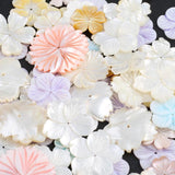 23mm Mother of Pearl Shell Loose Beads Natural Shell with Hole for DIY Necklace