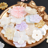 23mm Mother of Pearl Shell Loose Beads Natural Shell with Hole for DIY Necklace
