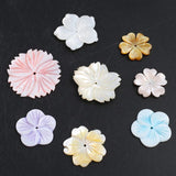 23mm Mother of Pearl Shell Loose Beads Natural Shell with Hole for DIY Necklace