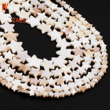 Mother of Pearl Star Spacer Beads 6-15mm 15''