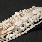 Freshwater Mother Of Pearls Beads Shell Charm DIY Jewelry Accessory