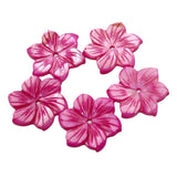 10pcs/Lot 20MM Natural Pearl Oyster Shell Carved Flower Mother Beads