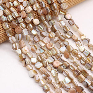 Natural Trochus Shell Beads Mother Of Pearl Loose Beads 15 Inches