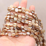 Natural Trochus Shell Beads Mother Of Pearl Loose Beads 15 Inches