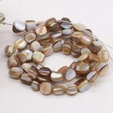 Natural Trochus Shell Beads Mother Of Pearl Loose Beads 15 Inches