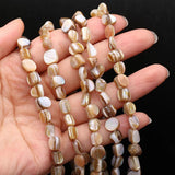 Natural Trochus Shell Beads Mother Of Pearl Loose Beads 15 Inches