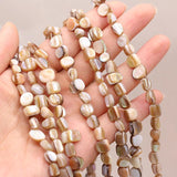 Natural Trochus Shell Beads Mother Of Pearl Loose Beads 15 Inches