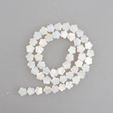 Shell Beads Mother Of Pearl For Jewelry Making