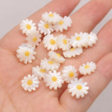 5pcs Natural Daisy Flower Sea Shell Beads for Jewelry Making