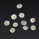 5pcs Natural Daisy Flower Sea Shell Beads for Jewelry Making