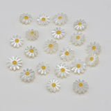 5pcs Natural Daisy Flower Sea Shell Beads for Jewelry Making