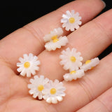 5pcs Natural Daisy Flower Sea Shell Beads for Jewelry Making