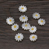 5pcs Natural Daisy Flower Sea Shell Beads for Jewelry Making