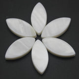 Natural Freshwater Shell Beads Mother Of Pearl Loose Spacer Bead