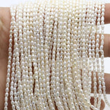 Freshwater Pearl Irregular Loose Bead 2mm-2.5mm