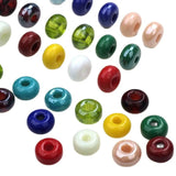 25pcs Mixed Lampwork Glass Beads for DIY Necklace/Bracelet Making