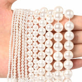 Colorful Freshwater Shell Beads Round Pearl Mother Loose Beads