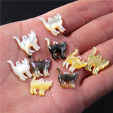 Natural Freshwater Shell Cat Beads Mother of Pearl Loose Beads