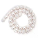 Shell Pearls Round Spacer Charms Beads for DIY Jewelry Making 4/6/8/10mm