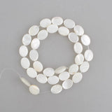 Mother Of Pearl Shell Oval Shape Beads for Jewelry Making