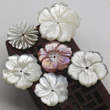 Natural Mother-of-pearl Powder Bauhinia for Charms Jewelry Making